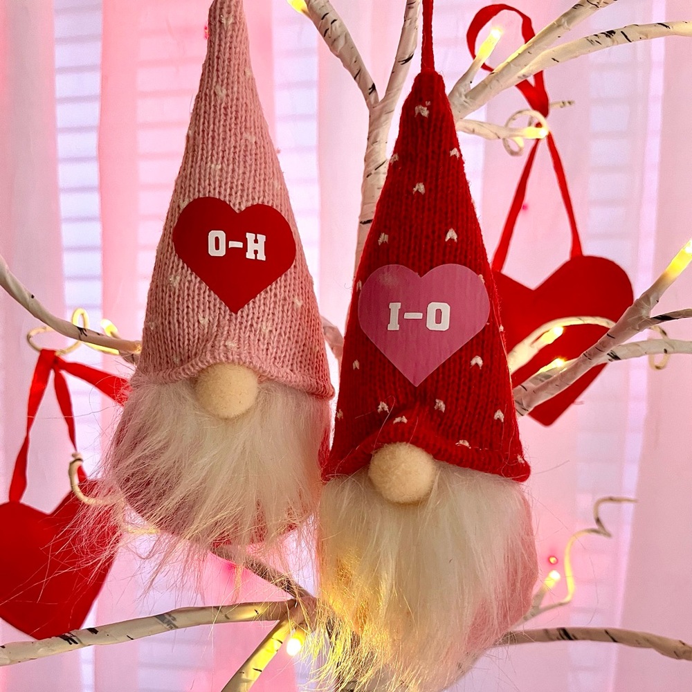 Ohio State Love Gnomes ❤️❤️